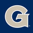 Georgetown University Large Logo Steam Deck Handheld Gaming Computer Skin